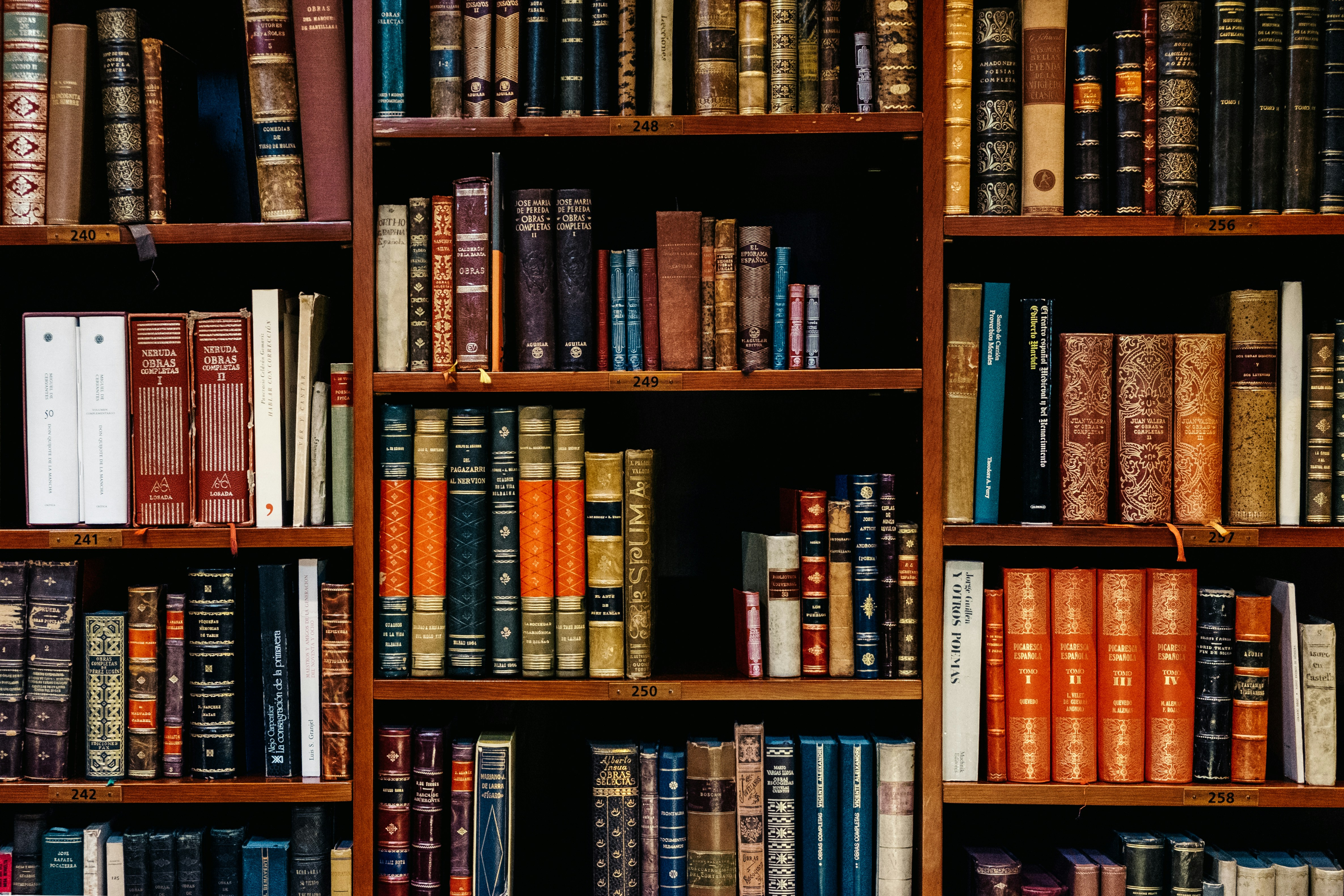 Close-up photo of a bookshelf with old books.